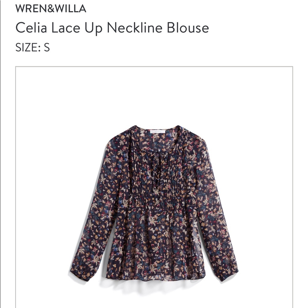 Wren & Willa Sheer Blouse